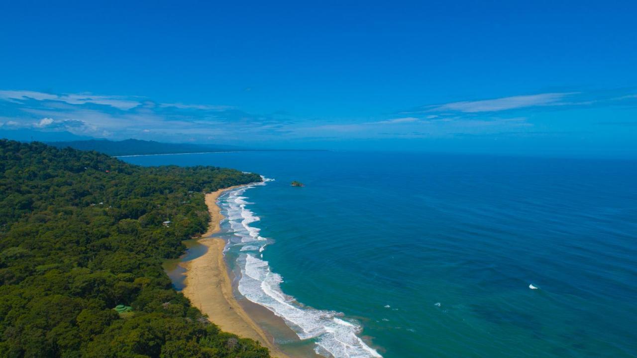Gigi Brown Villa Paparazzi Beachfront Puerto Viejo de Talamanca Luaran gambar